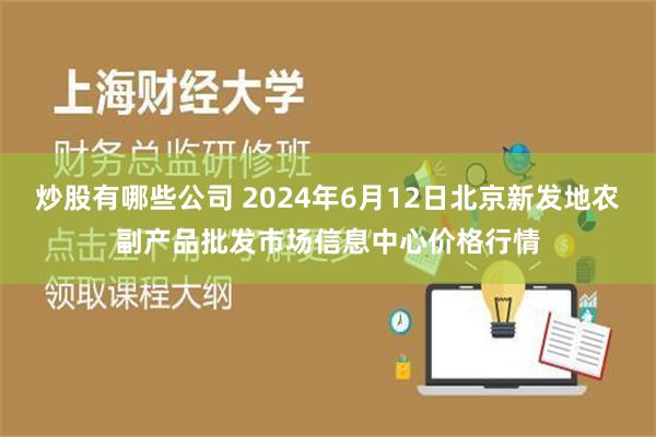 炒股有哪些公司 2024年6月12日北京新发地农副产品批发市场信息中心价格行情