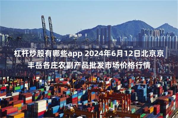 杠杆炒股有哪些app 2024年6月12日北京京丰岳各庄农副产品批发市场价格行情