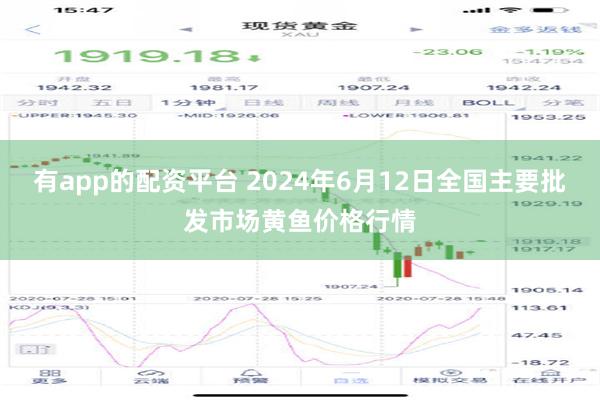 有app的配资平台 2024年6月12日全国主要批发市场黄鱼价格行情
