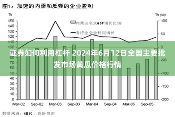 证券如何利用杠杆 2024年6月12日全国主要批发市场黄瓜价格行情