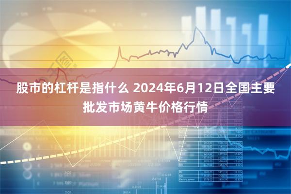 股市的杠杆是指什么 2024年6月12日全国主要批发市场黄牛价格行情