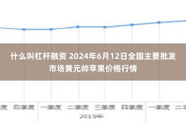 什么叫杠杆融资 2024年6月12日全国主要批发市场黄元帅苹果价格行情