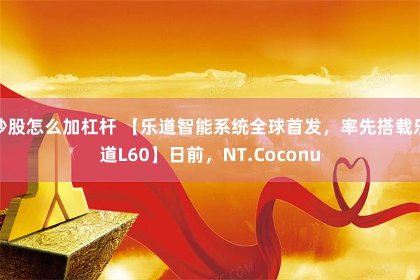 炒股怎么加杠杆 【乐道智能系统全球首发，率先搭载乐道L60】日前，NT.Coconu