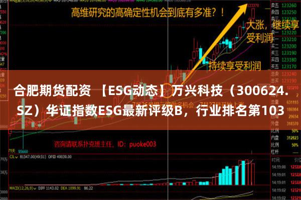 合肥期货配资 【ESG动态】万兴科技（300624.SZ）华证指数ESG最新评级B，行业排名第103