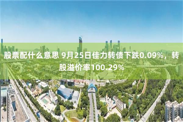 股票配什么意思 9月25日佳力转债下跌0.09%，转股溢价率100.29%