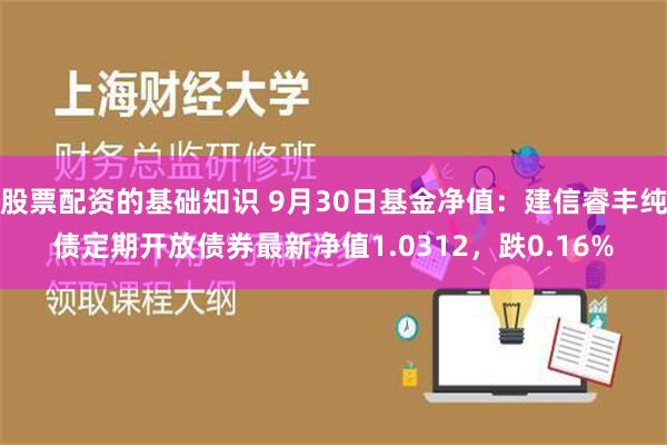 股票配资的基础知识 9月30日基金净值：建信睿丰纯债定期开放债券最新净值1.0312，跌0.16%