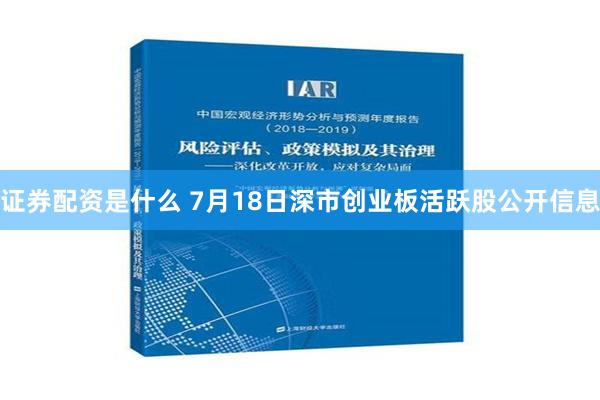 证券配资是什么 7月18日深市创业板活跃股公开信息