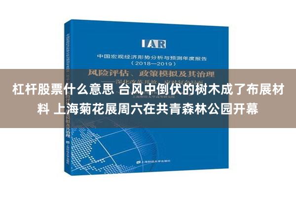 杠杆股票什么意思 台风中倒伏的树木成了布展材料 上海菊花展周六在共青森林公园开幕