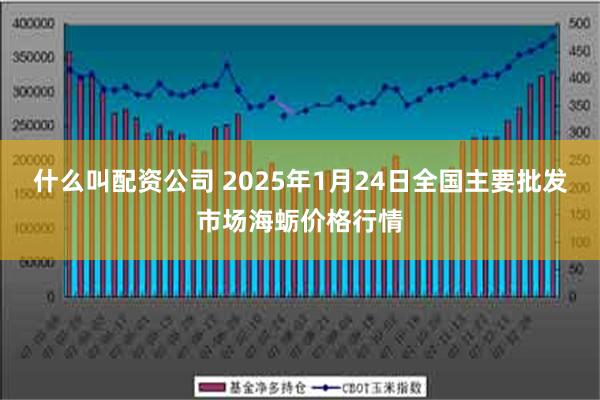 什么叫配资公司 2025年1月24日全国主要批发市场海蛎价格行情