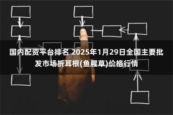 国内配资平台排名 2025年1月29日全国主要批发市场折耳根(鱼腥草)价格行情