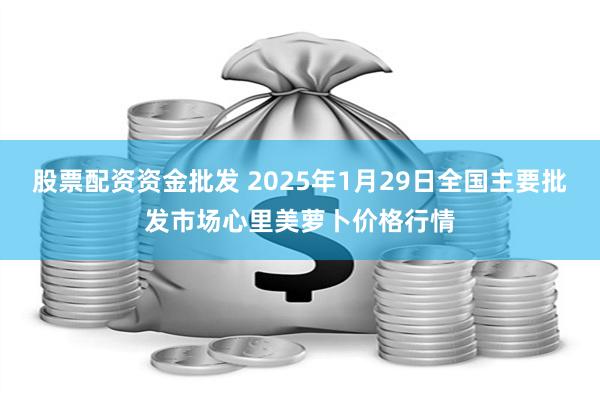 股票配资资金批发 2025年1月29日全国主要批发市场心里美萝卜价格行情